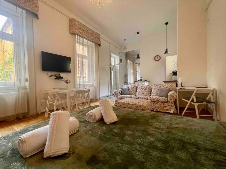 Knezits Spacious Ac Terrace Free Parking Budapeste Exterior foto